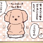 友人から喋る犬のぬいぐるみをもらったので