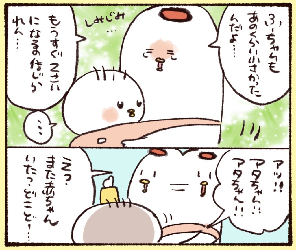 また赤ちゃんいた！と言って見た先に…